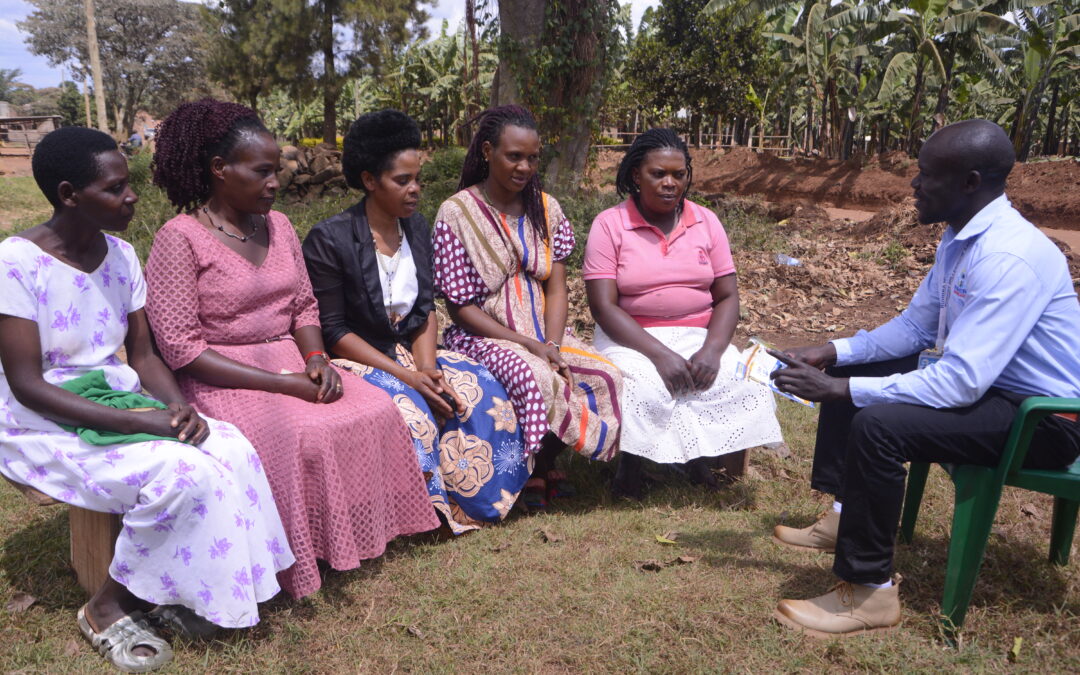 Ruhiira Millennium Sacco